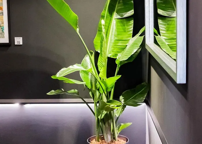 Boulevart Donostia San Sebastián