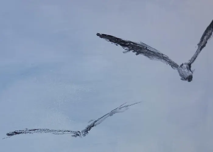 Boulevart Donostia San Sebastián