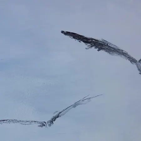 Boulevart Donostia San Sebastian